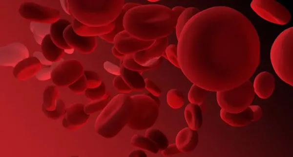 Hematoloji Nedir?